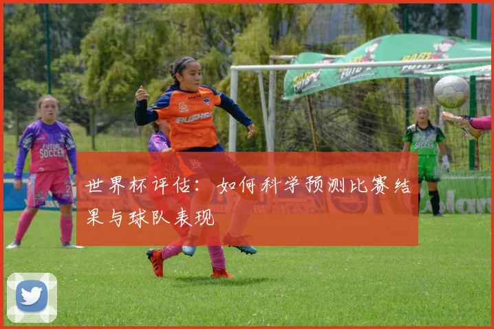 世界杯评估：如何科学预测比赛结果与球队表现